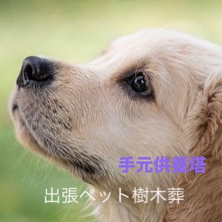 ペット仏壇　出張ペット樹木葬(犬)