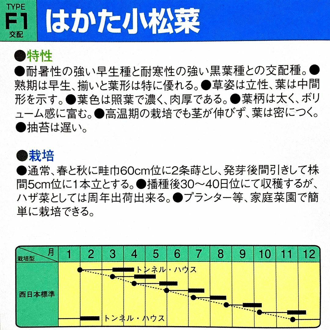 野菜種子 EBQ はかた小松菜 0.65g(約210粒) x 2袋 食品/飲料/酒の食品(野菜)の商品写真