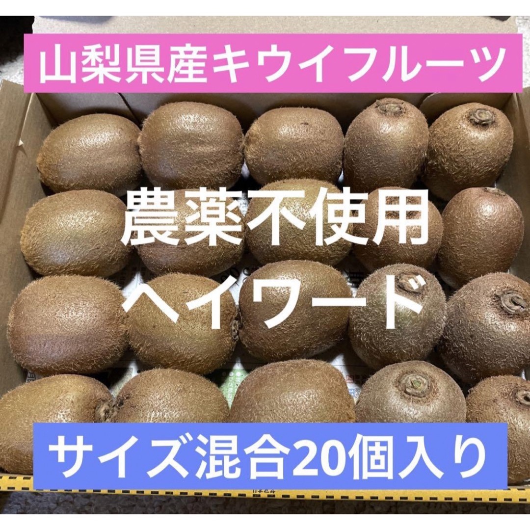 山梨県産　農薬不使用　キウイフルーツ　ヘイワード　国産グリーンキウイ　20個入り 食品/飲料/酒の食品(フルーツ)の商品写真