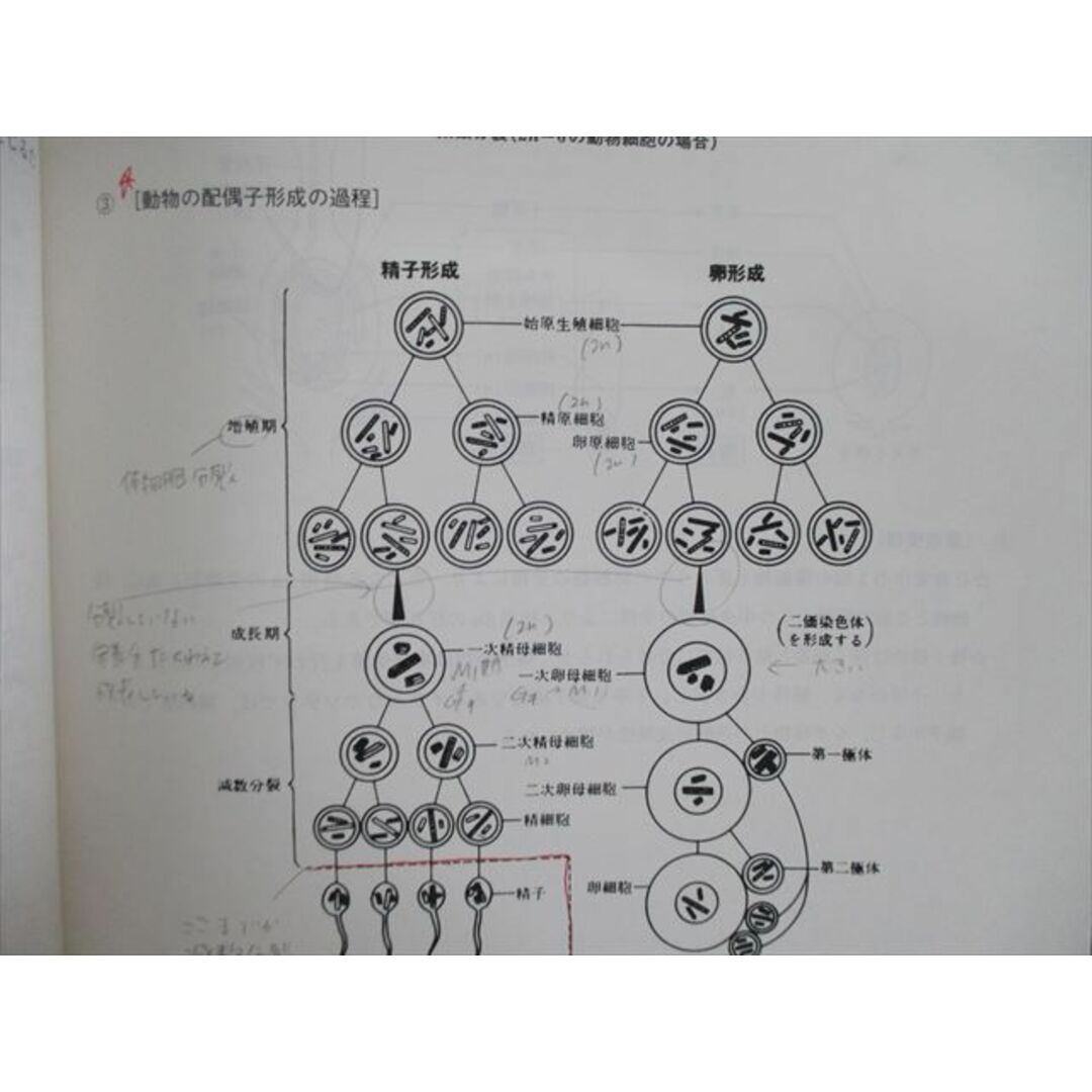 VG02-093 駿台 ステップアップ生物 PartI/II [生命のしくみ/連続] 2021 夏期 計2冊 26S0D