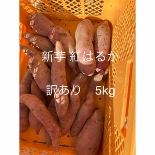 ベニハルカ(紅はるか)の新芋　　紅はるか　　5kg   訳あり(野菜)