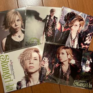 shangri-la acid black cherry 2013-2014 (ミュージシャン)