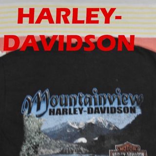 ハーレーダビッドソン(Harley Davidson)のハーレー ダビッドソン Tシャツ 13209ｃ HARLEY DAVIDSON(Tシャツ/カットソー(七分/長袖))