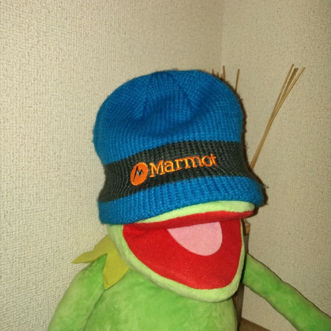 MARMOT(マーモット)の【marmot】ビーニー メンズの帽子(ニット帽/ビーニー)の商品写真