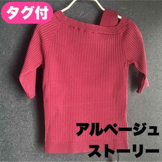 アプワイザー  シアーデコルテ刺繍プルオーバー 新品