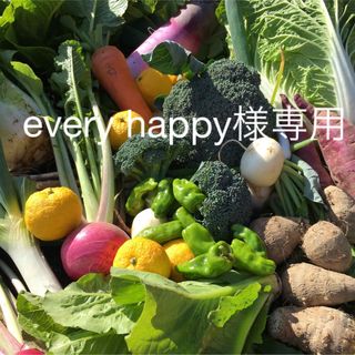 採れたて新鮮野菜詰め合わせ　70サイズ　every happy様専用(野菜)