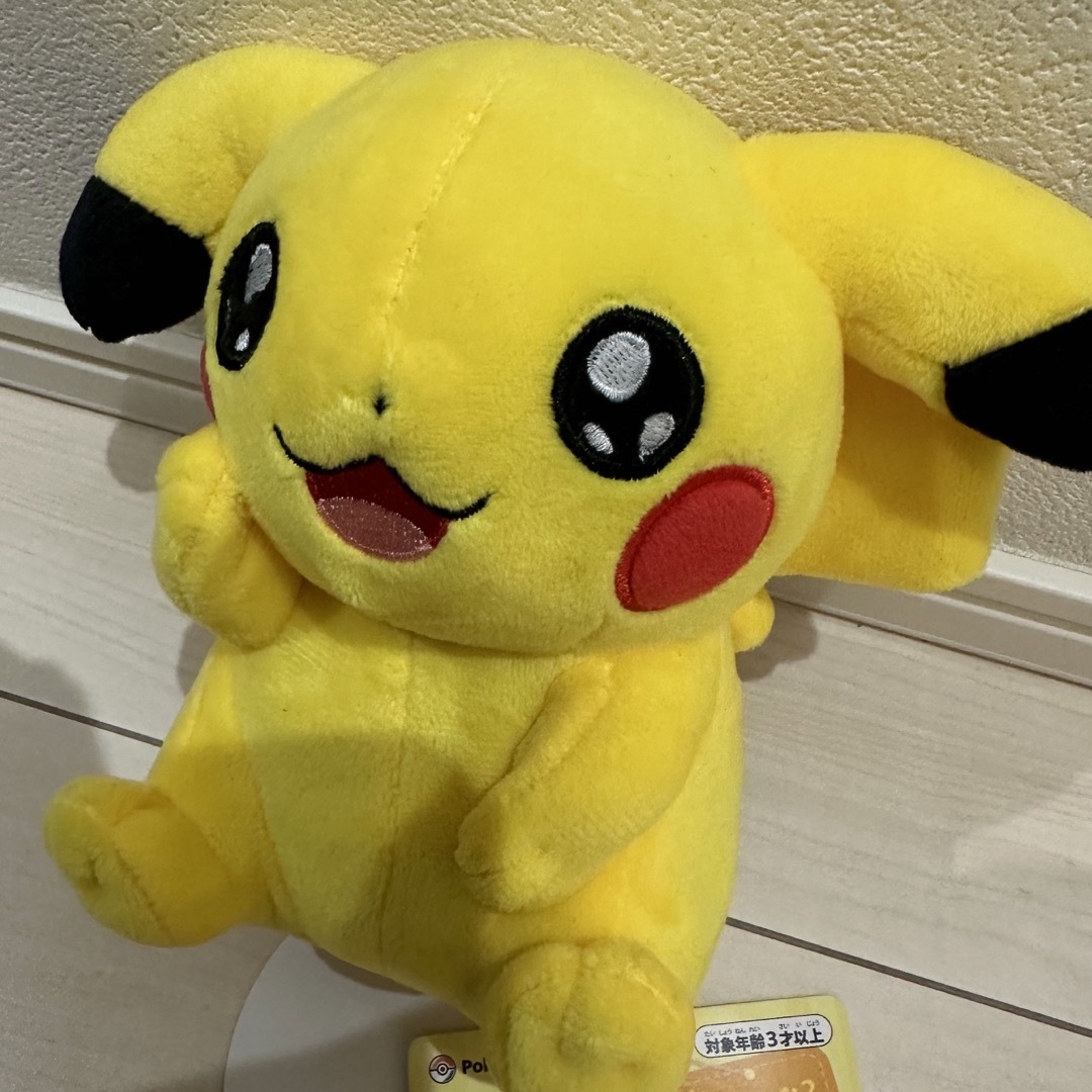 MY PIKACHU マイピカチュウ　オス　垂れ耳　笑顔　メモリアルタグ付