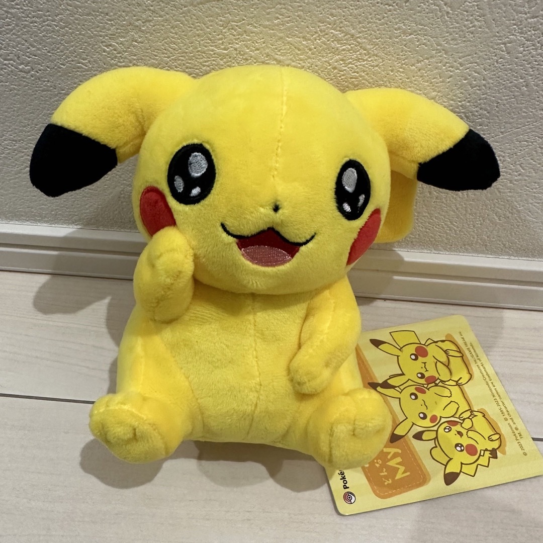 MY PIKACHU マイピカチュウ　オス　垂れ耳　笑顔　メモリアルタグ付