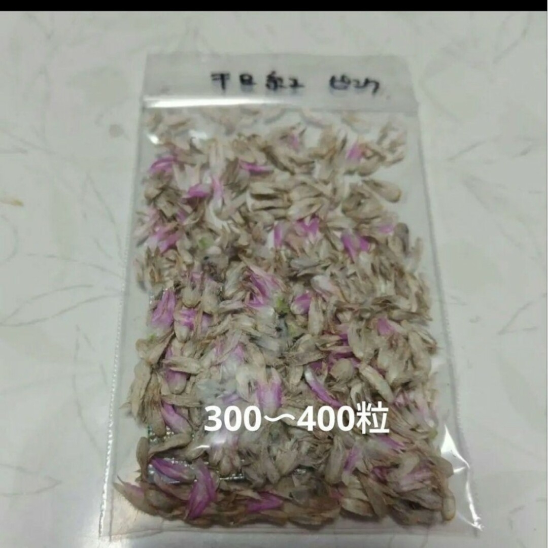 千日紅の種　（白とピンク）約600〜800粒 ハンドメイドのフラワー/ガーデン(プランター)の商品写真