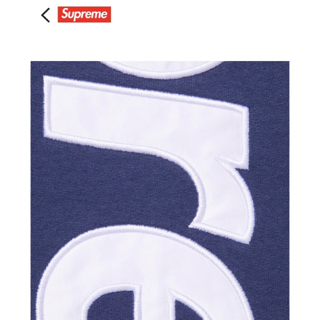 Supreme(シュプリーム)のSupreme Satin Applique Hooded Sweatshirt メンズのトップス(パーカー)の商品写真