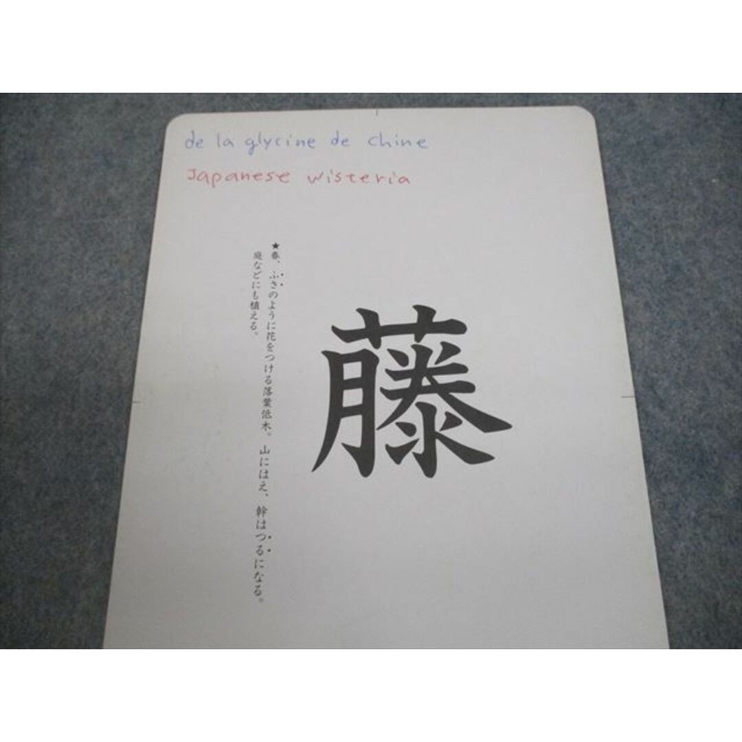 VG10-081 家庭保育園 たのしい絵カード 昆虫/諺/植物/俳句/日本の地図/県庁所在地/日本の偉人/天体/星座 00L4D