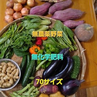 無農薬野菜　70サイズ　常温発送(野菜)