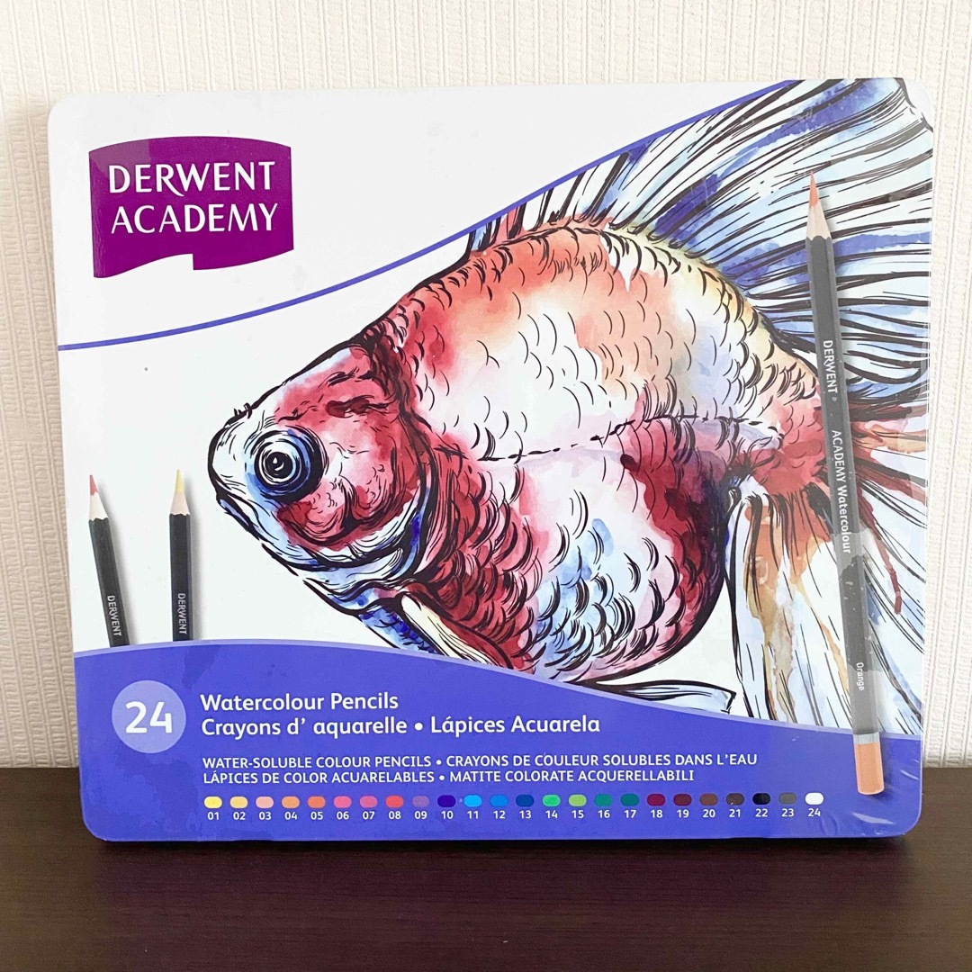 《高級色鉛筆》ダーウェントアカデミ−水彩色鉛筆２４色セット エンタメ/ホビーのアート用品(色鉛筆)の商品写真