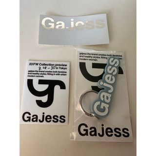 デミルクスビームス(Demi-Luxe BEAMS)のgajess ノベルティ(ノベルティグッズ)