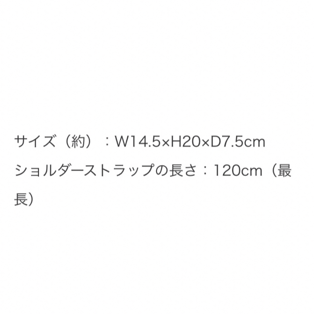 Coleman(コールマン)のコールマン チョークバッグ MonoMax 2021年1月号付録のみ メンズのバッグ(ショルダーバッグ)の商品写真