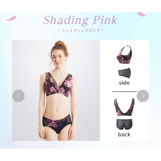 Wacoal   新品 サルートB&ソングM ミュージカル女優 Gの通販