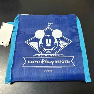 ディズニー(Disney)の【ディズニーリゾート】　エコバッグ(キャラクターグッズ)