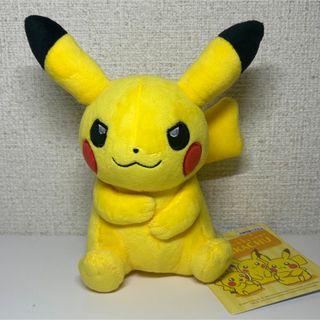 ポケモンセンター　マイピカチュウ　キャプテン　メス　レア