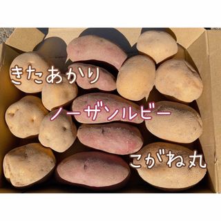 北海道産 じゃがいも食べ比べセット(野菜)