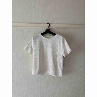 ザラ(ZARA)の【ZARA】レースTシャツ(Tシャツ(半袖/袖なし))