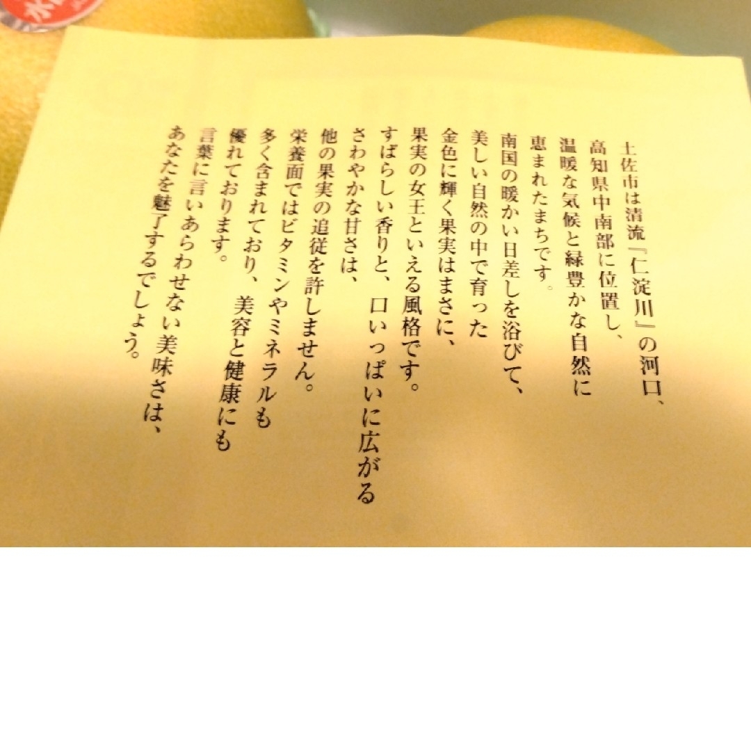 ○高知県土佐市産　水晶文旦　約5kg  味保証　送料無料