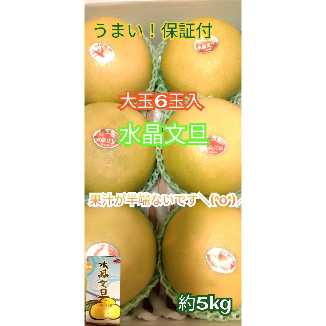 ○高知県土佐市産　水晶文旦　約5kg  味保証　送料無料