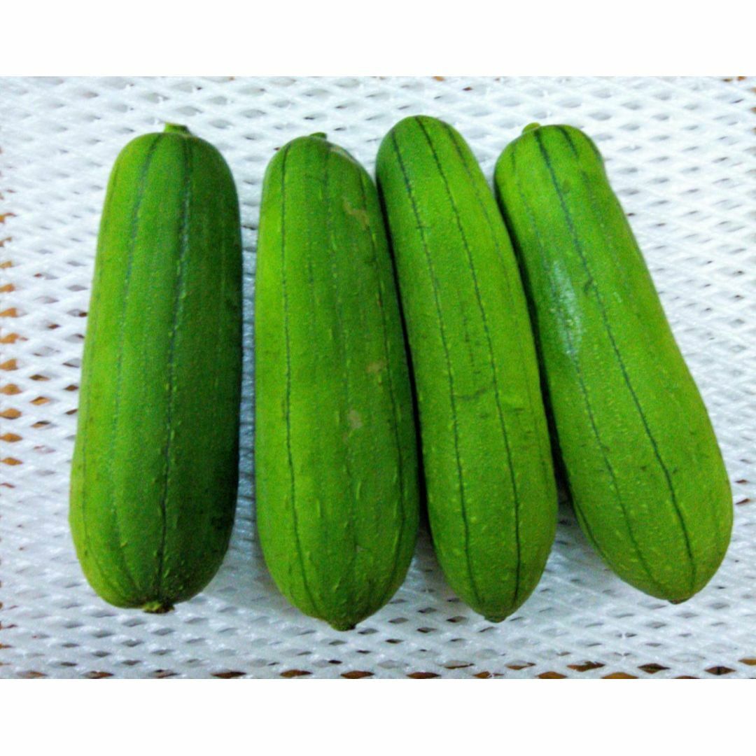 沖縄本島北部やんばる産　旬の健康野菜「なーべらー＝食用へちま」2kg 食品/飲料/酒の食品(野菜)の商品写真