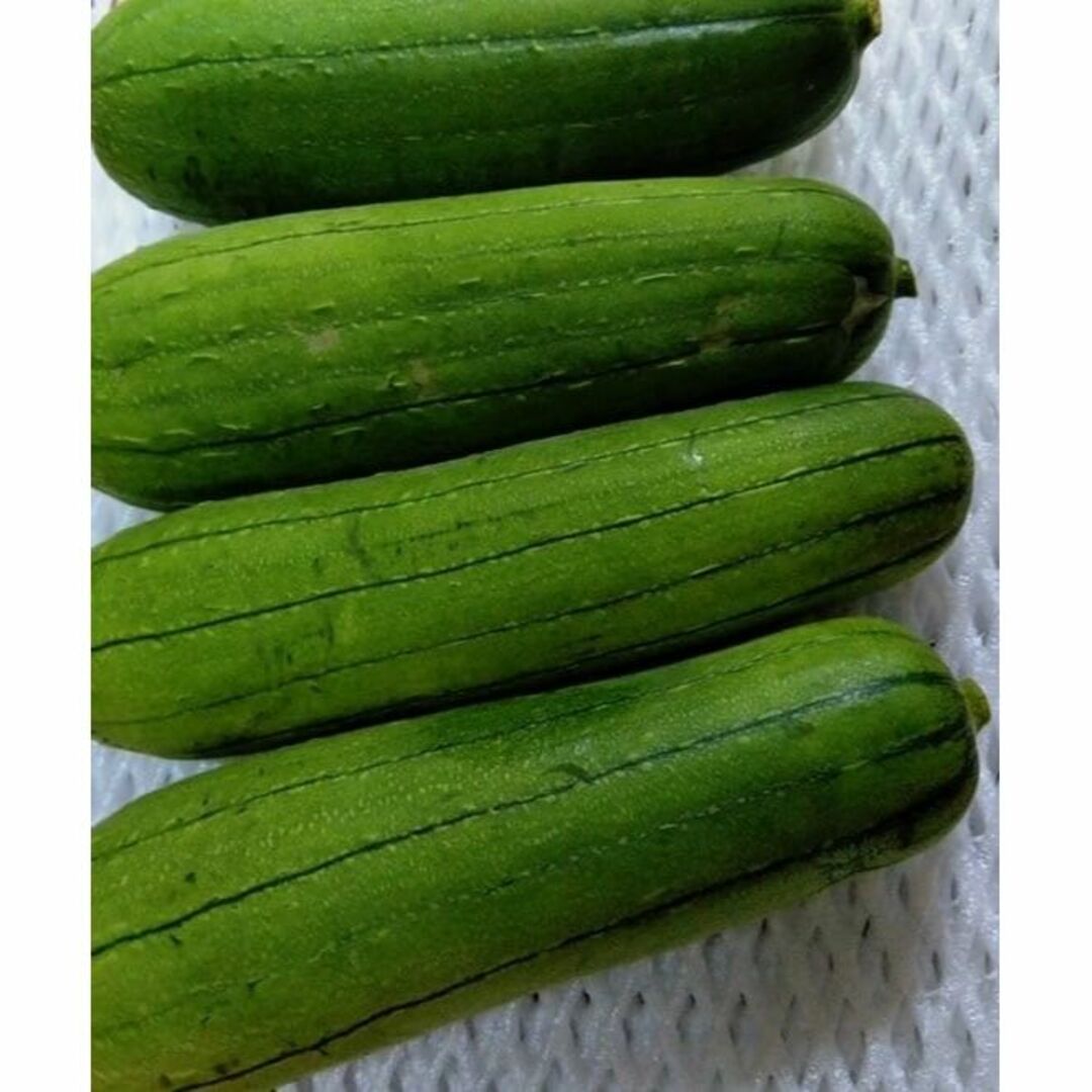 沖縄本島北部やんばる産　旬の健康野菜「なーべらー＝食用へちま」2kg 食品/飲料/酒の食品(野菜)の商品写真