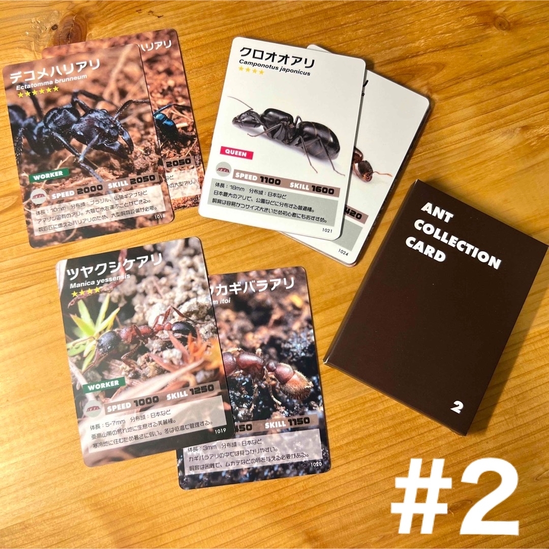 ANT COLLECTION CARD#2 コンプセット【自作トレカ】 エンタメ/ホビーのトレーディングカード(Box/デッキ/パック)の商品写真