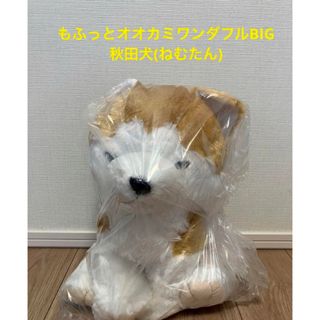 【秋田犬ねむたん】もふっとオオカミワンダフルBIG(キャラクターグッズ)