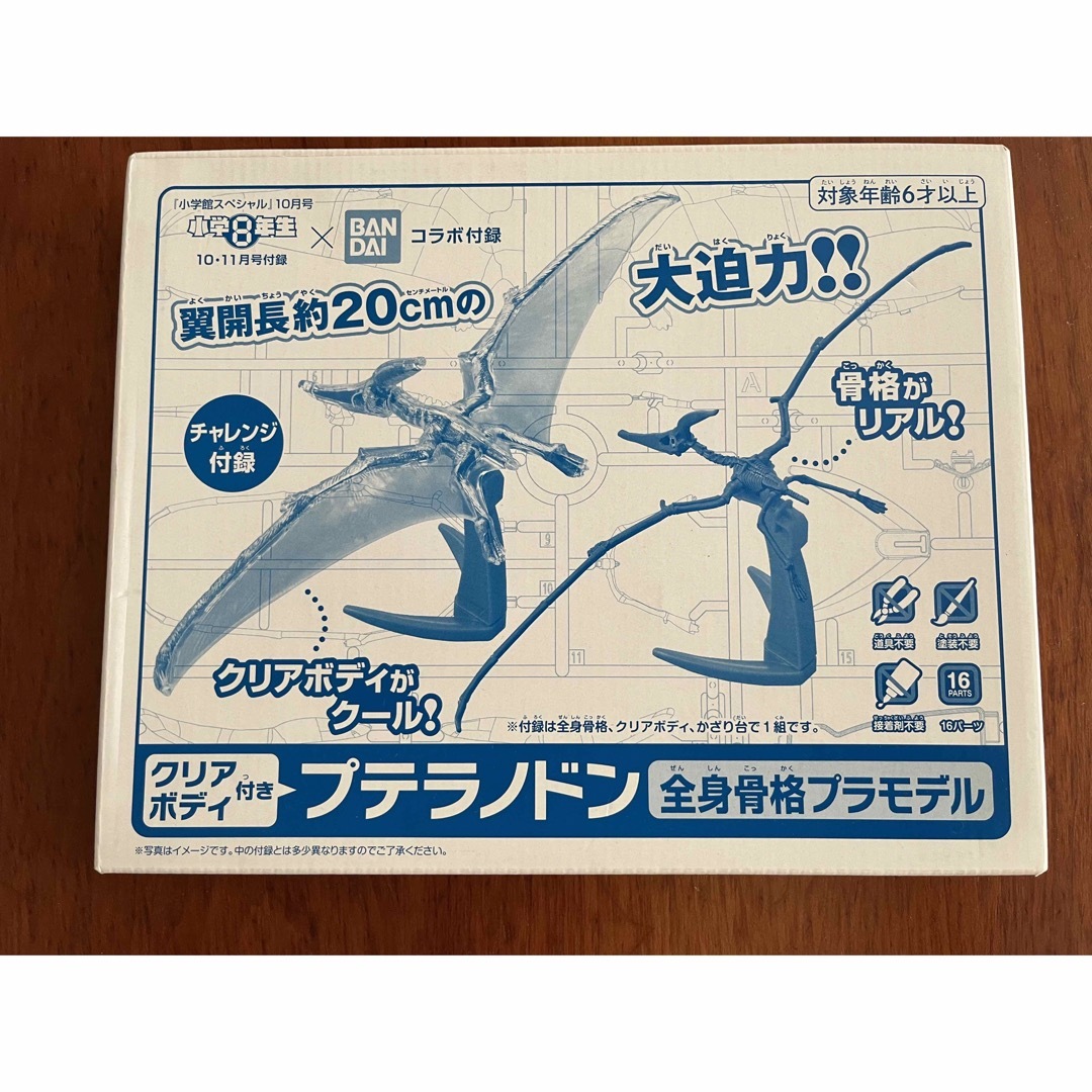 小学館(ショウガクカン)のプテラノドン　全身骨格プラモデル エンタメ/ホビーのおもちゃ/ぬいぐるみ(模型/プラモデル)の商品写真