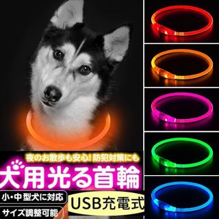 【オレンジ】LED光る首輪 USB充電式 サイズ調節 長さは70cm 散歩犬猫(犬)