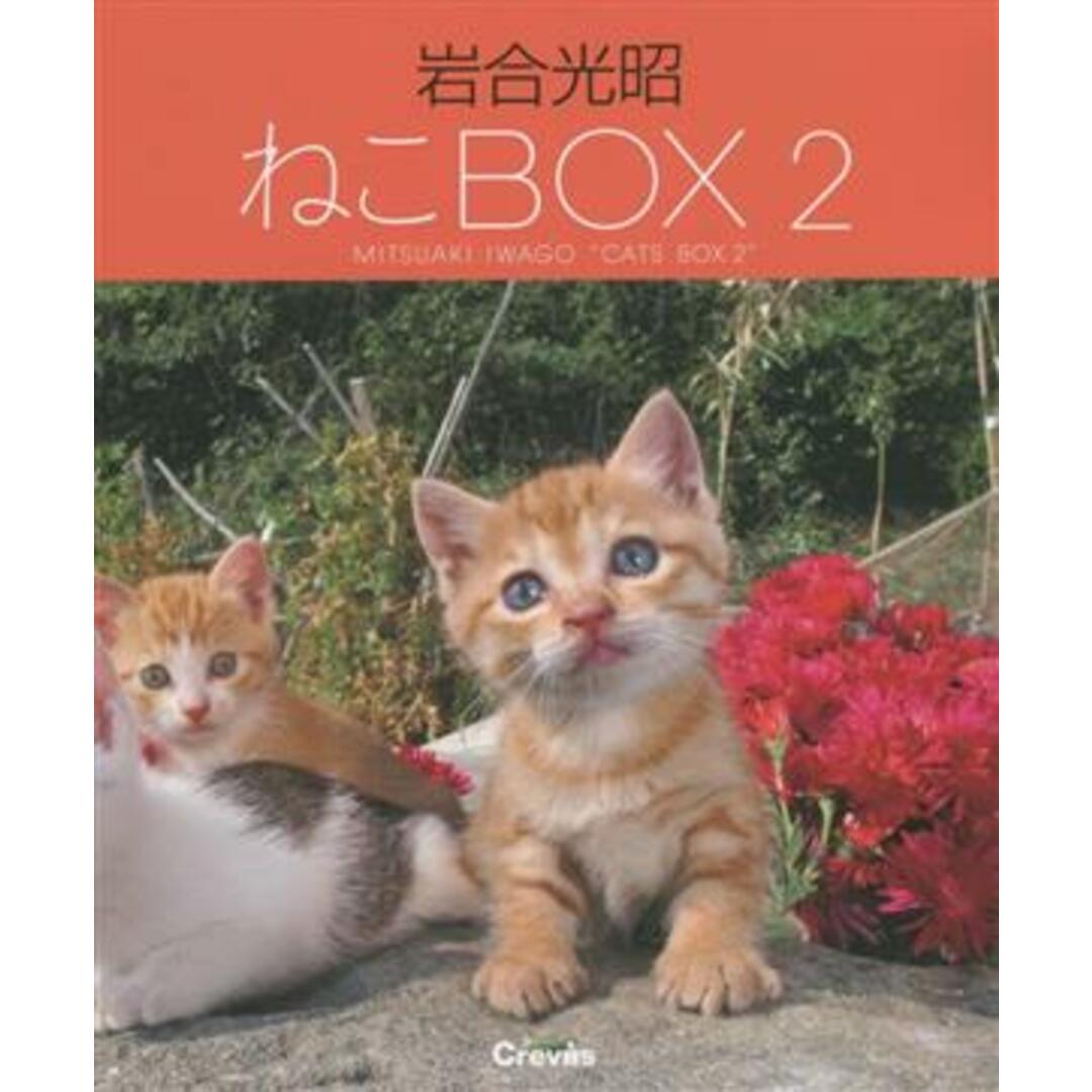 写真集　岩合光昭　ねこＢＯＸ　４巻セット(２)／岩合光昭(著者)