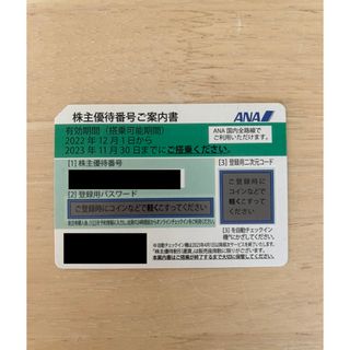 エーエヌエー(ゼンニッポンクウユ)(ANA(全日本空輸))のANA 株主優待券(その他)