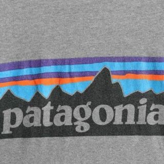 patagonia - パタゴニア プリント 半袖 Tシャツ M アウトドア フィッツ ...