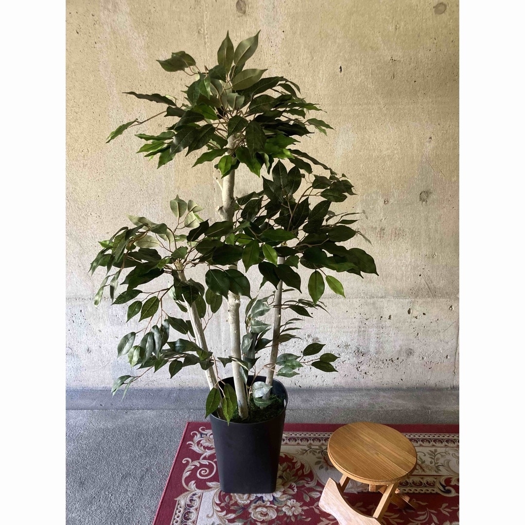 光触媒 人工観葉植物 ウォールグリーン フェイクグリーン ベンジャミン120-