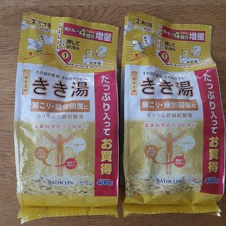 バスクリン(BATHCLIN)のきき湯 カリウム芒硝炭酸湯 480g  2つ(入浴剤/バスソルト)