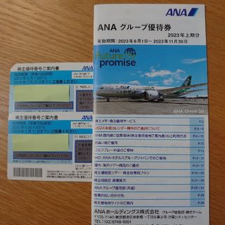 エーエヌエー(ゼンニッポンクウユ)(ANA(全日本空輸))のANA株主優待券(航空券)