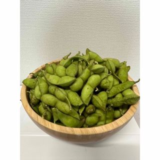 丹波篠山産黒大豆枝豆　500g 無選別(野菜)