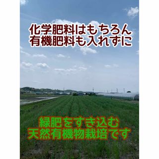 白米20kg 令和5年度産 新米ヒノヒカリ 使用農薬は除草剤一回のみの通販 ...