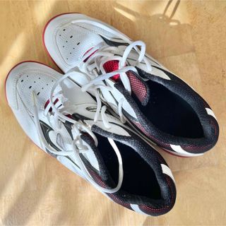 ミズノ(MIZUNO)の【匿名配送】ミズノ　バドミントン　シューズ　27.5cm(バドミントン)