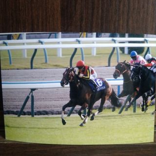 競馬　秋華賞　リバティアイランド　L版写真(印刷物)