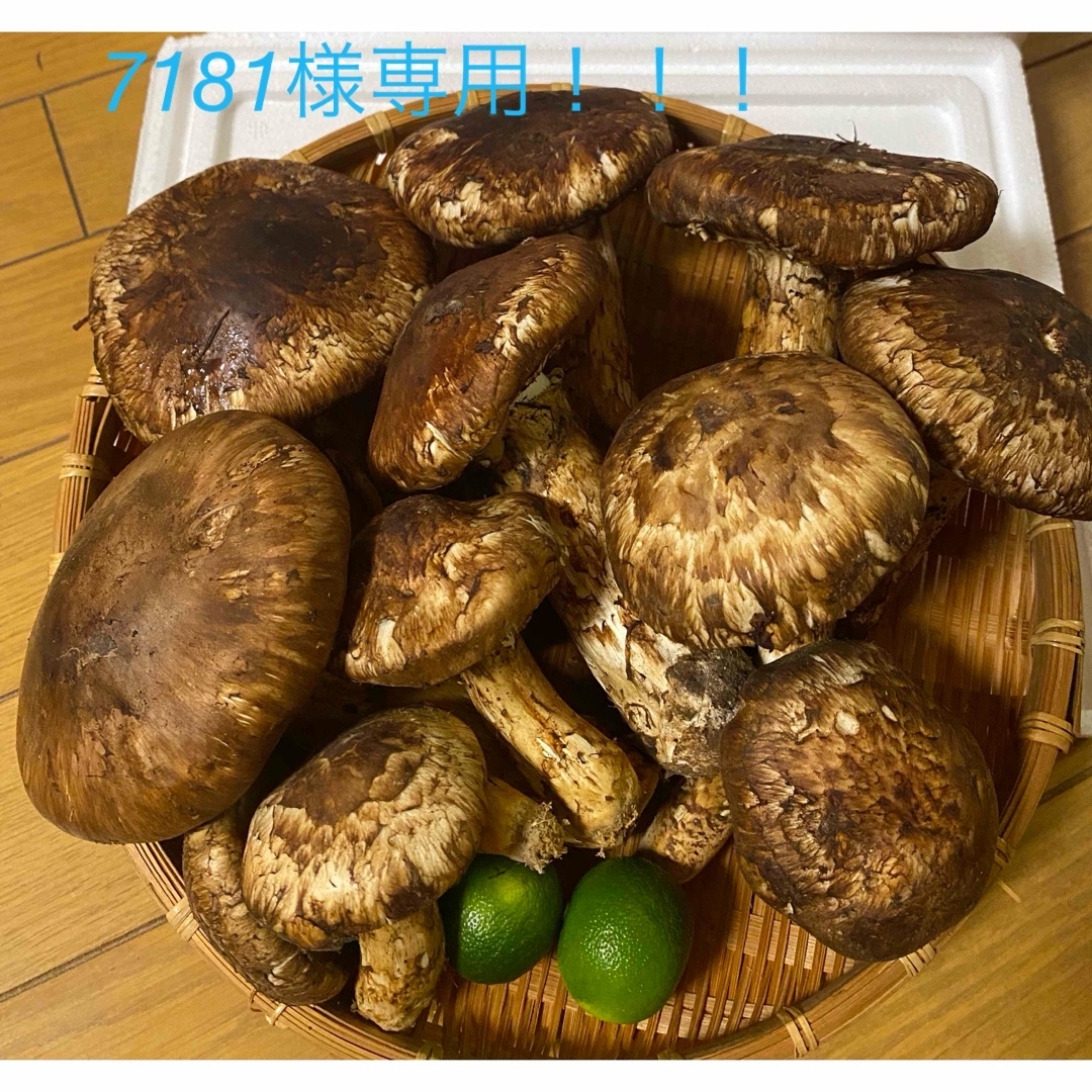 中国産 松茸 約2kg まつたけ マツタケ。野菜