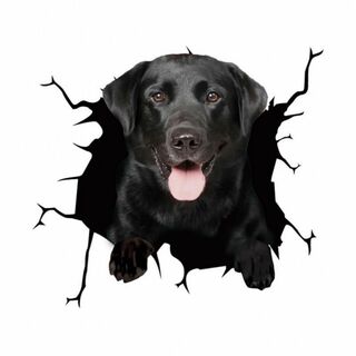 ラブラドール ブラック カーステッカー 犬 3D シール 傷隠し 壁紙 防水(車外アクセサリ)