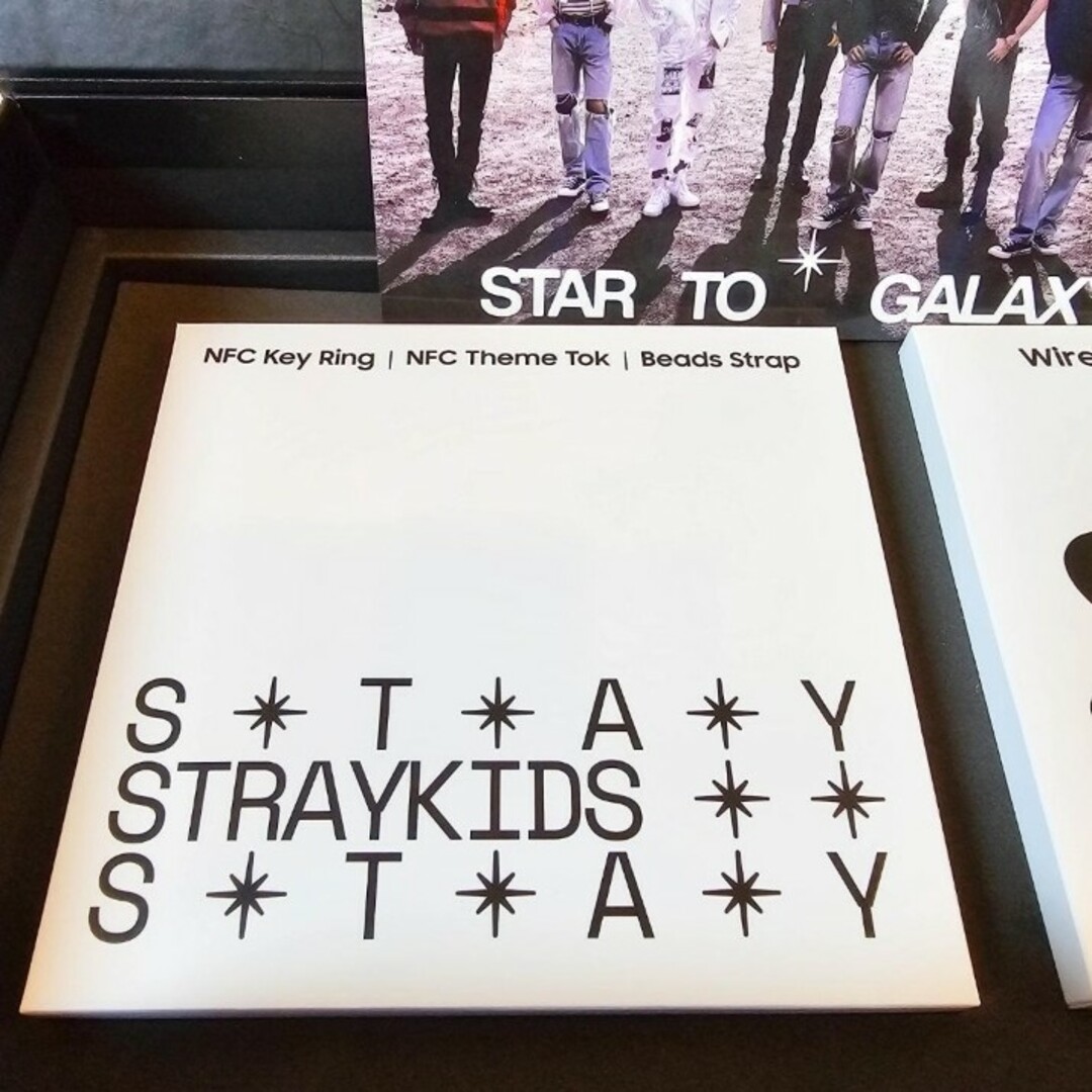 Stray Kids x SLBS セット：Z Flip 5本体はついていません 6
