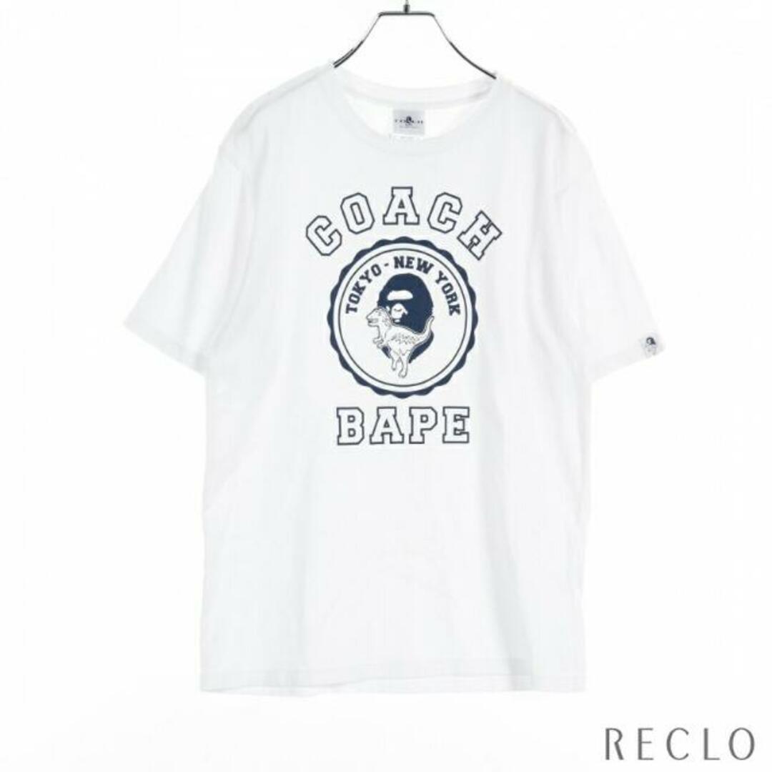 COACH × BABE Rexy レキシー Tシャツ コットン ホワイト ネイビー | フリマアプリ ラクマ