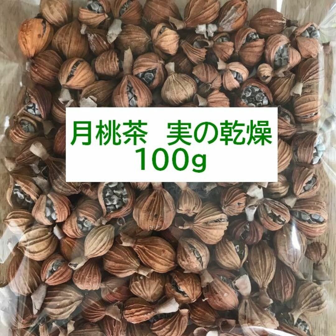 【石垣島産】 月桃茶・実の乾燥　１００ｇ 食品/飲料/酒の飲料(茶)の商品写真