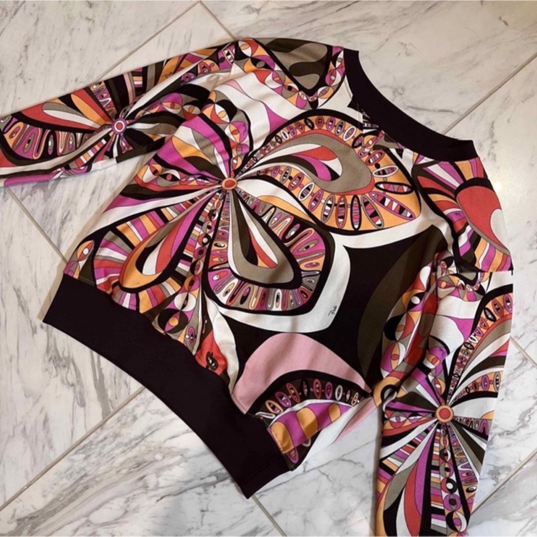 EMILIO PUCCI(エミリオプッチ)のエミリオプッチ トレーナー トップス ブラウン 茶色 ピンク 34 ロンT レディースのトップス(トレーナー/スウェット)の商品写真