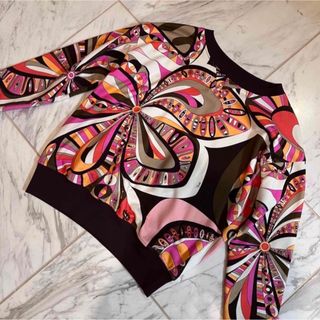 エミリオプッチ(EMILIO PUCCI)のエミリオプッチ トレーナー トップス ブラウン 茶色 ピンク 34 ロンT(トレーナー/スウェット)