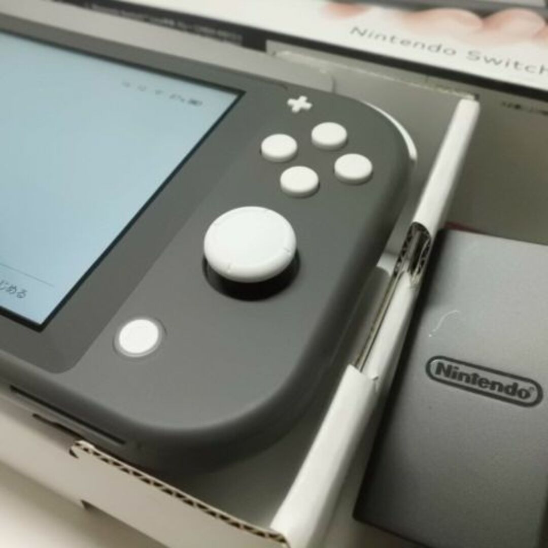 Nintendo Switch - Nintendo Switch Lite Gray任天堂スイッチライトの